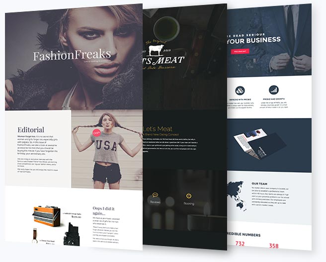 WP页面编辑插件：Beaver Builder Pro v2.5[已激活版]-1